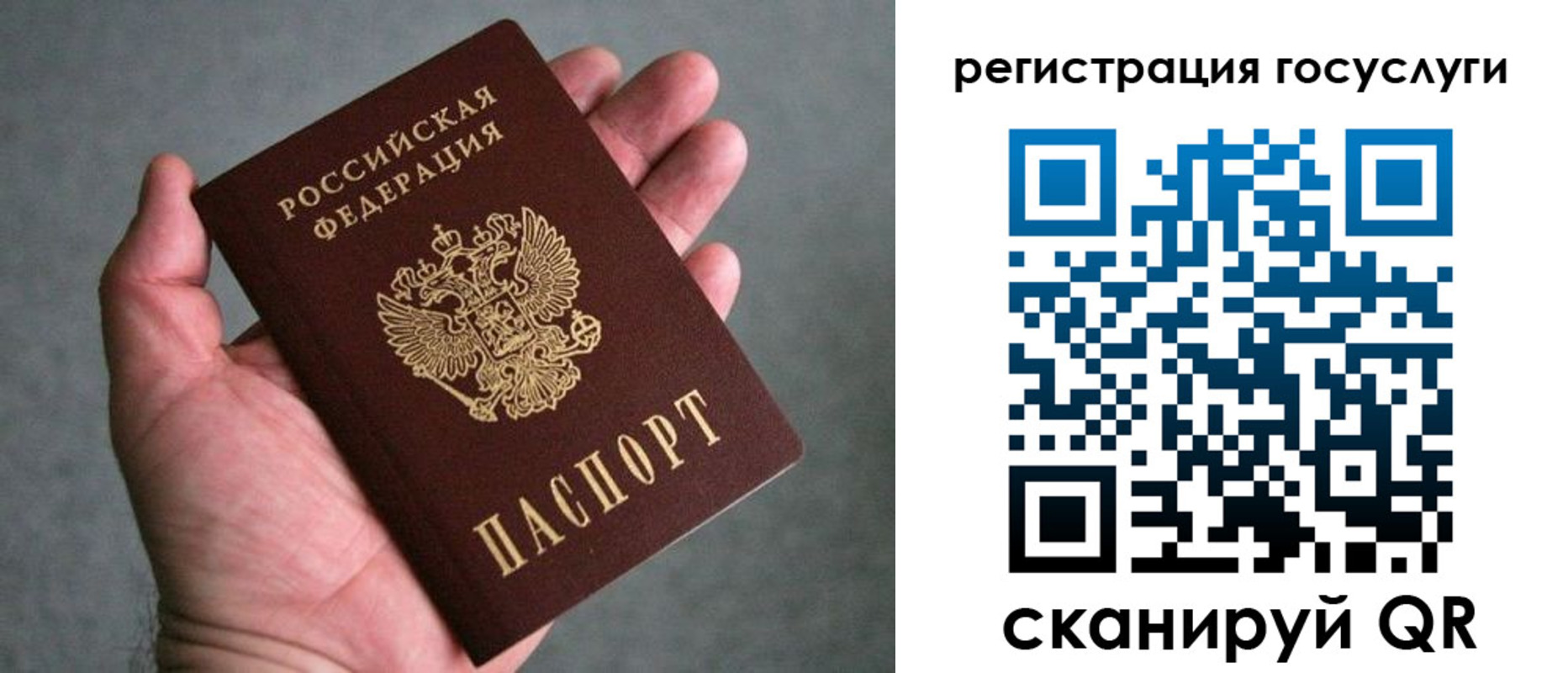 прописка поиск в Коле